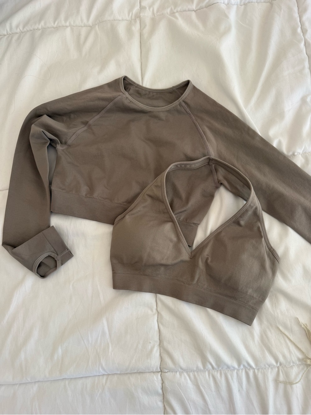 Seamless Taupe Long-Sleeve Crop Top & V-Neck Sports Bra Set
